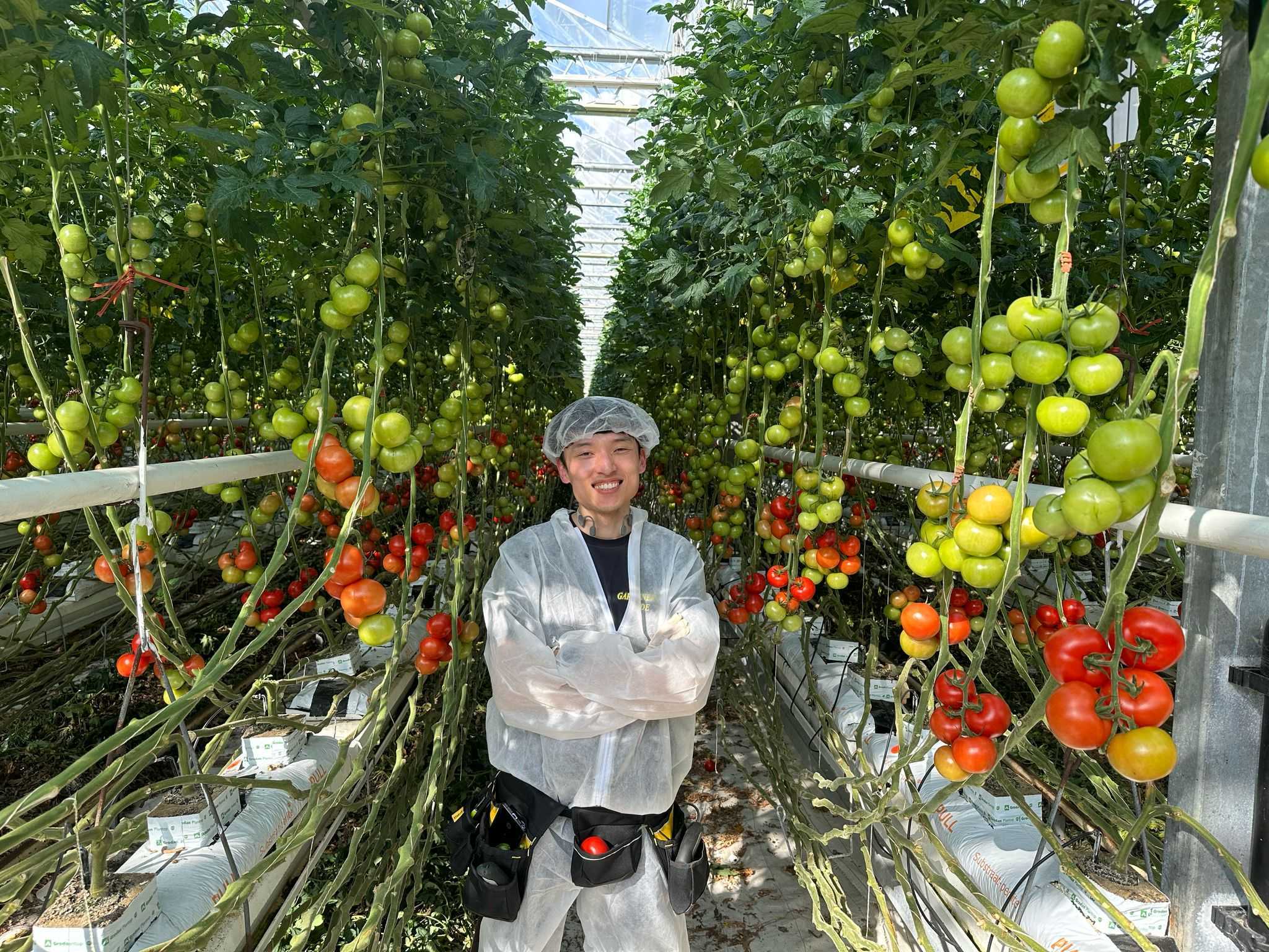 Working in the field